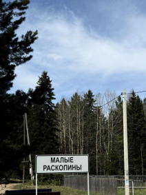 Купить землю, Малые Раскопины д
