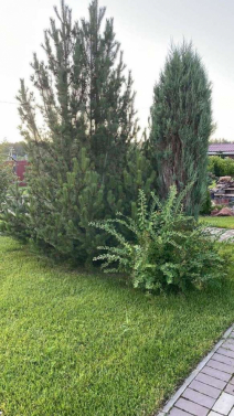 Купить коттедж, Каркино д